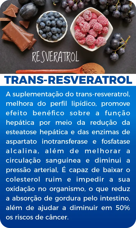 imgi-17-trans