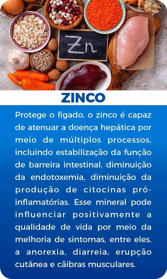 imgi-20-Zinco